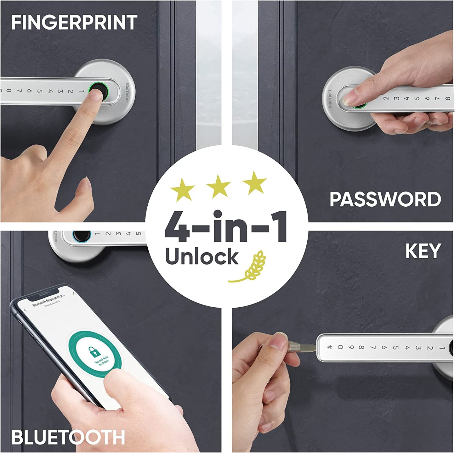 Fingerprint Smart Lock